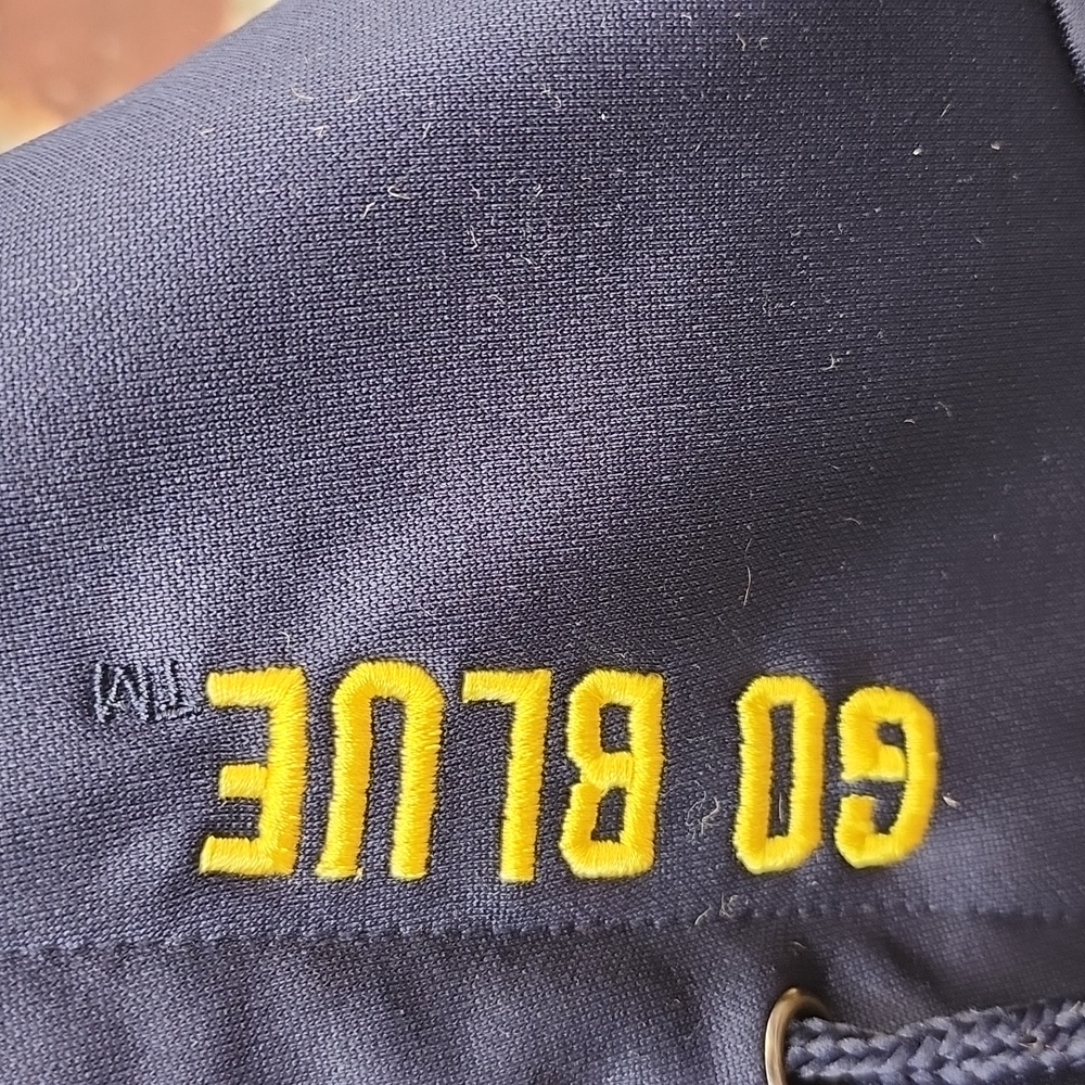 University of Michigan pullover hoodie. - Picture 3 of 4